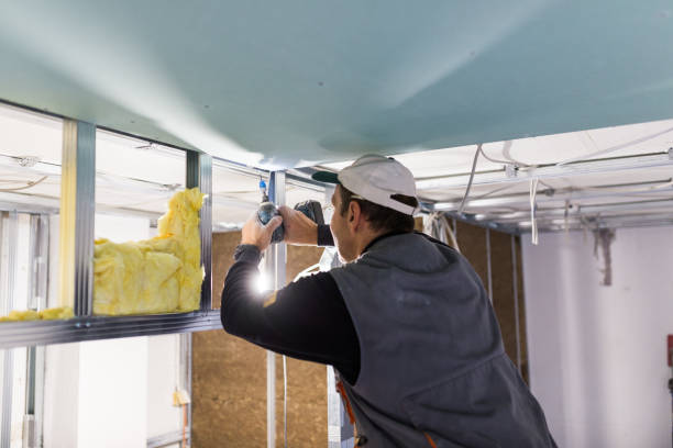 Eco-Friendly or Green Insulation Solutions in Port Allen, LA