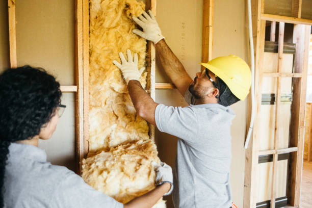 Best Spray Foam Insulation  in Port Allen, LA