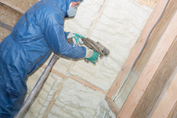 Best Crawl Space Insulation  in Port Allen, LA